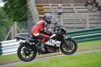 cadwell-no-limits-trackday;cadwell-park;cadwell-park-photographs;cadwell-trackday-photographs;enduro-digital-images;event-digital-images;eventdigitalimages;no-limits-trackdays;peter-wileman-photography;racing-digital-images;trackday-digital-images;trackday-photos