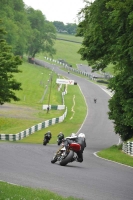 cadwell-no-limits-trackday;cadwell-park;cadwell-park-photographs;cadwell-trackday-photographs;enduro-digital-images;event-digital-images;eventdigitalimages;no-limits-trackdays;peter-wileman-photography;racing-digital-images;trackday-digital-images;trackday-photos