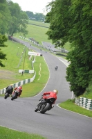 cadwell-no-limits-trackday;cadwell-park;cadwell-park-photographs;cadwell-trackday-photographs;enduro-digital-images;event-digital-images;eventdigitalimages;no-limits-trackdays;peter-wileman-photography;racing-digital-images;trackday-digital-images;trackday-photos