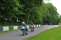 cadwell-no-limits-trackday;cadwell-park;cadwell-park-photographs;cadwell-trackday-photographs;enduro-digital-images;event-digital-images;eventdigitalimages;no-limits-trackdays;peter-wileman-photography;racing-digital-images;trackday-digital-images;trackday-photos