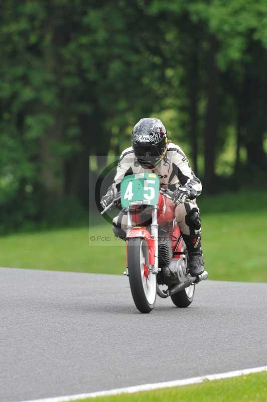 cadwell no limits trackday;cadwell park;cadwell park photographs;cadwell trackday photographs;enduro digital images;event digital images;eventdigitalimages;no limits trackdays;peter wileman photography;racing digital images;trackday digital images;trackday photos