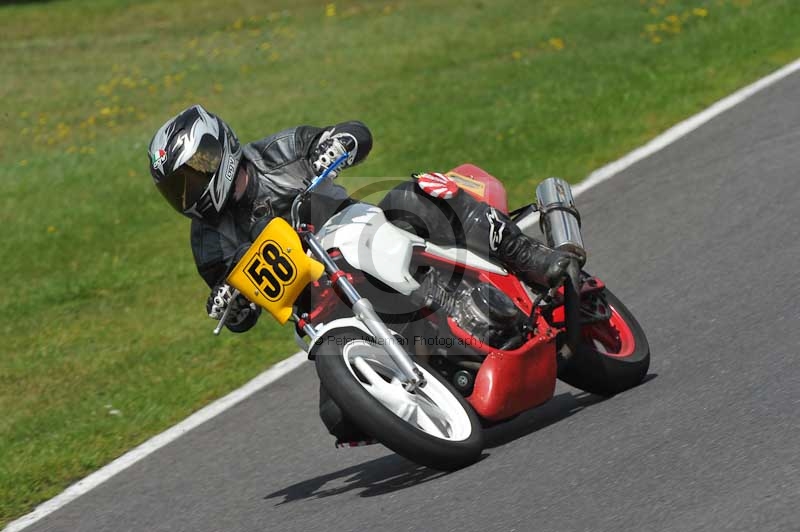 cadwell no limits trackday;cadwell park;cadwell park photographs;cadwell trackday photographs;enduro digital images;event digital images;eventdigitalimages;no limits trackdays;peter wileman photography;racing digital images;trackday digital images;trackday photos