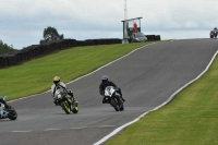 enduro-digital-images;event-digital-images;eventdigitalimages;no-limits-trackdays;oulton-no-limits-trackday;oulton-park-cheshire;oulton-trackday-photographs;peter-wileman-photography;racing-digital-images;trackday-digital-images;trackday-photos