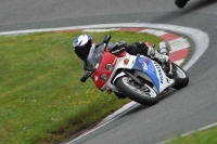 enduro-digital-images;event-digital-images;eventdigitalimages;no-limits-trackdays;oulton-no-limits-trackday;oulton-park-cheshire;oulton-trackday-photographs;peter-wileman-photography;racing-digital-images;trackday-digital-images;trackday-photos
