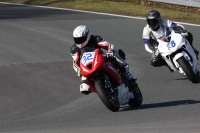 anglesey;brands-hatch;cadwell-park;croft;donington-park;enduro-digital-images;event-digital-images;eventdigitalimages;mallory;no-limits;oulton-park;peter-wileman-photography;racing-digital-images;silverstone;snetterton;trackday-digital-images;trackday-photos;vmcc-banbury-run;welsh-2-day-enduro