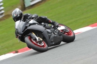 anglesey;brands-hatch;cadwell-park;croft;donington-park;enduro-digital-images;event-digital-images;eventdigitalimages;mallory;no-limits;oulton-park;peter-wileman-photography;racing-digital-images;silverstone;snetterton;trackday-digital-images;trackday-photos;welsh-2-day-enduro