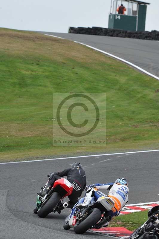 anglesey;brands hatch;cadwell park;croft;donington park;enduro digital images;event digital images;eventdigitalimages;mallory;no limits;oulton park;peter wileman photography;racing digital images;silverstone;snetterton;trackday digital images;trackday photos;welsh 2 day enduro