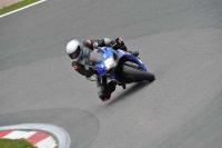 anglesey;brands-hatch;cadwell-park;croft;donington-park;enduro-digital-images;event-digital-images;eventdigitalimages;mallory;no-limits;oulton-park;peter-wileman-photography;racing-digital-images;silverstone;snetterton;trackday-digital-images;trackday-photos;welsh-2-day-enduro
