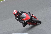 anglesey;brands-hatch;cadwell-park;croft;donington-park;enduro-digital-images;event-digital-images;eventdigitalimages;mallory;no-limits;oulton-park;peter-wileman-photography;racing-digital-images;silverstone;snetterton;trackday-digital-images;trackday-photos;welsh-2-day-enduro