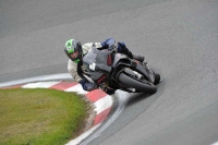 anglesey;brands-hatch;cadwell-park;croft;donington-park;enduro-digital-images;event-digital-images;eventdigitalimages;mallory;no-limits;oulton-park;peter-wileman-photography;racing-digital-images;silverstone;snetterton;trackday-digital-images;trackday-photos;welsh-2-day-enduro