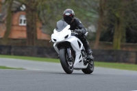 anglesey;brands-hatch;cadwell-park;croft;donington-park;enduro-digital-images;event-digital-images;eventdigitalimages;mallory;no-limits;oulton-park;peter-wileman-photography;racing-digital-images;silverstone;snetterton;trackday-digital-images;trackday-photos;welsh-2-day-enduro