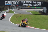anglesey;brands-hatch;cadwell-park;croft;donington-park;enduro-digital-images;event-digital-images;eventdigitalimages;mallory;no-limits;oulton-park;peter-wileman-photography;racing-digital-images;silverstone;snetterton;trackday-digital-images;trackday-photos;welsh-2-day-enduro