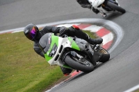 anglesey;brands-hatch;cadwell-park;croft;donington-park;enduro-digital-images;event-digital-images;eventdigitalimages;mallory;no-limits;oulton-park;peter-wileman-photography;racing-digital-images;silverstone;snetterton;trackday-digital-images;trackday-photos;welsh-2-day-enduro