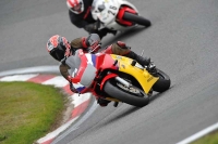 anglesey;brands-hatch;cadwell-park;croft;donington-park;enduro-digital-images;event-digital-images;eventdigitalimages;mallory;no-limits;oulton-park;peter-wileman-photography;racing-digital-images;silverstone;snetterton;trackday-digital-images;trackday-photos;welsh-2-day-enduro