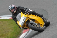 anglesey;brands-hatch;cadwell-park;croft;donington-park;enduro-digital-images;event-digital-images;eventdigitalimages;mallory;no-limits;oulton-park;peter-wileman-photography;racing-digital-images;silverstone;snetterton;trackday-digital-images;trackday-photos;welsh-2-day-enduro