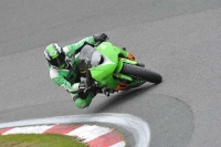 anglesey;brands-hatch;cadwell-park;croft;donington-park;enduro-digital-images;event-digital-images;eventdigitalimages;mallory;no-limits;oulton-park;peter-wileman-photography;racing-digital-images;silverstone;snetterton;trackday-digital-images;trackday-photos;welsh-2-day-enduro