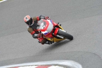 anglesey;brands-hatch;cadwell-park;croft;donington-park;enduro-digital-images;event-digital-images;eventdigitalimages;mallory;no-limits;oulton-park;peter-wileman-photography;racing-digital-images;silverstone;snetterton;trackday-digital-images;trackday-photos;welsh-2-day-enduro