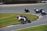 anglesey;brands-hatch;cadwell-park;croft;donington-park;enduro-digital-images;event-digital-images;eventdigitalimages;mallory;no-limits;oulton-park;peter-wileman-photography;racing-digital-images;silverstone;snetterton;trackday-digital-images;trackday-photos;welsh-2-day-enduro