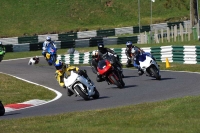 FAST BLUE/WHITE BIKES