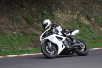 NOVICE MULTICOLOUR BIKES