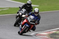 NOVICE MULTICOLOUR BIKES