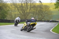 GREEN /YELLOW BIKES