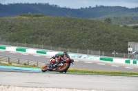 march-2010;motorbikes;no-limits;peter-wileman-photography;portimao;portugal;trackday;trackday-digital-images