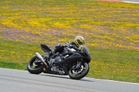 march-2010;motorbikes;no-limits;peter-wileman-photography;portimao;portugal;trackday;trackday-digital-images