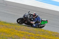 march-2010;motorbikes;no-limits;peter-wileman-photography;portimao;portugal;trackday;trackday-digital-images