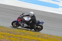 march-2010;motorbikes;no-limits;peter-wileman-photography;portimao;portugal;trackday;trackday-digital-images