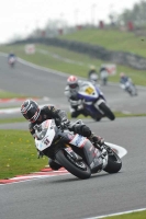 INTER MULTICOLOUR BIKES