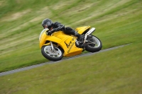 INTER GREEN/YELLOW BIKES