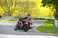 cadwell-park;cadwell-park-photographs;cadwell-trackday-photographs;enduro-digital-images;event-digital-images;eventdigitalimages;hopp-rider-training;peter-wileman-photography;racing-digital-images;trackday-digital-images;trackday-photos