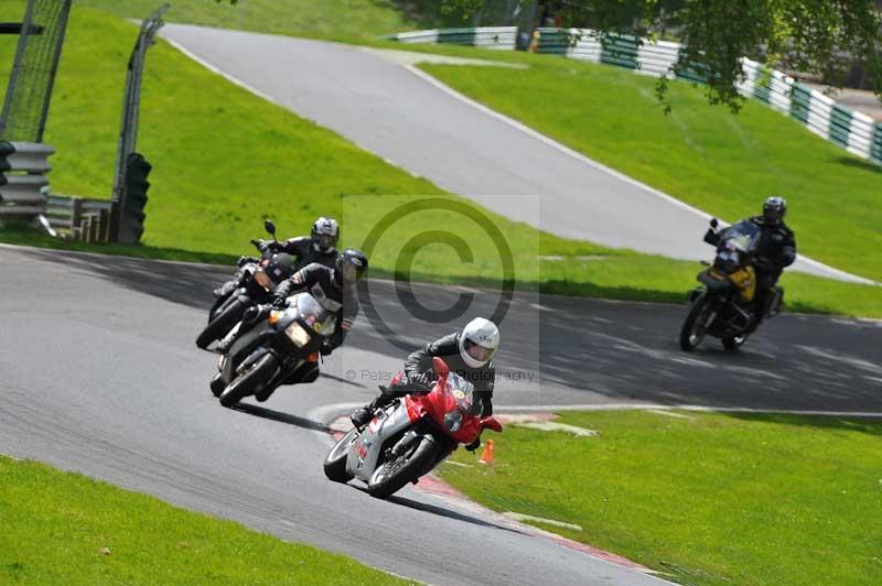 cadwell park;cadwell park photographs;cadwell trackday photographs;enduro digital images;event digital images;eventdigitalimages;hopp rider training;peter wileman photography;racing digital images;trackday digital images;trackday photos