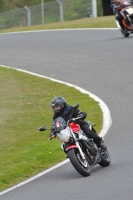 cadwell-park;cadwell-park-photographs;cadwell-trackday-photographs;enduro-digital-images;event-digital-images;eventdigitalimages;hopp-rider-training;peter-wileman-photography;racing-digital-images;trackday-digital-images;trackday-photos