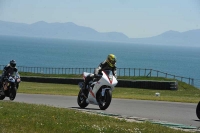 FAST BLUE/WHITE BIKES