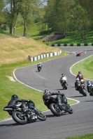 cadwell-no-limits-trackday;cadwell-park;cadwell-park-photographs;cadwell-trackday-photographs;enduro-digital-images;event-digital-images;eventdigitalimages;no-limits-trackdays;peter-wileman-photography;racing-digital-images;trackday-digital-images;trackday-photos