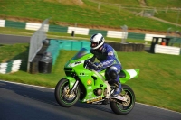 EVENING NOVICE GREEN/YELLOW BIKES