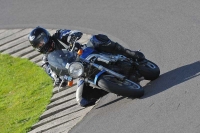 FAST BLUE/WHITE BIKES