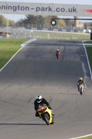 anglesey;brands-hatch;cadwell-park;croft;donington-park;enduro-digital-images;event-digital-images;eventdigitalimages;mallory;no-limits;oulton-park;peter-wileman-photography;racing-digital-images;silverstone;snetterton;trackday-digital-images;trackday-photos;welsh-2-day-enduro