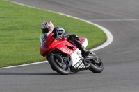 anglesey;brands-hatch;cadwell-park;croft;donington-park;enduro-digital-images;event-digital-images;eventdigitalimages;mallory;no-limits;oulton-park;peter-wileman-photography;racing-digital-images;silverstone;snetterton;trackday-digital-images;trackday-photos;welsh-2-day-enduro