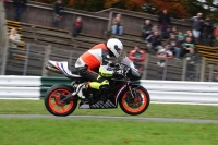 Motorcycle-action-photographs;Trackday-digital-images;cadwell;cadwell-park-photographs;event-digital-images;eventdigitalimages;motor-racing-louth-lincolnshire;no-limits-trackdays;peter-wileman-photography;trackday;trackday-photos
