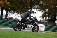 Motorcycle-action-photographs;Trackday-digital-images;cadwell;cadwell-park-photographs;event-digital-images;eventdigitalimages;motor-racing-louth-lincolnshire;no-limits-trackdays;peter-wileman-photography;trackday;trackday-photos
