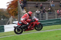 Motorcycle-action-photographs;Trackday-digital-images;cadwell;cadwell-park-photographs;event-digital-images;eventdigitalimages;motor-racing-louth-lincolnshire;no-limits-trackdays;peter-wileman-photography;trackday;trackday-photos