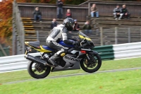Motorcycle-action-photographs;Trackday-digital-images;cadwell;cadwell-park-photographs;event-digital-images;eventdigitalimages;motor-racing-louth-lincolnshire;no-limits-trackdays;peter-wileman-photography;trackday;trackday-photos