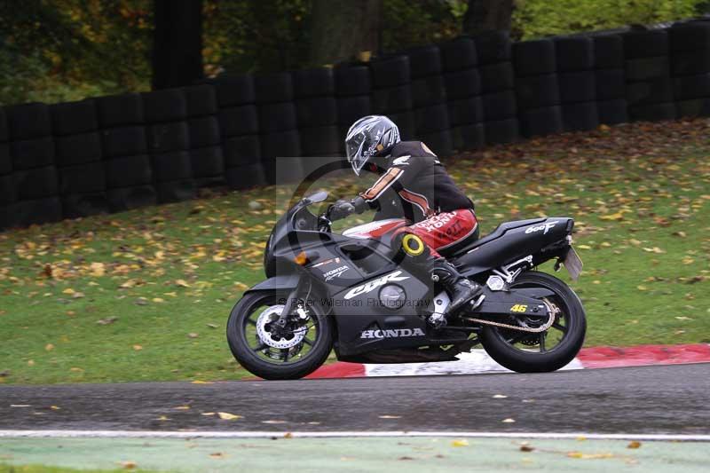 Motorcycle action photographs;Trackday digital images;cadwell;cadwell park photographs;event digital images;eventdigitalimages;motor racing louth lincolnshire;no limits trackdays;peter wileman photography;trackday;trackday photos