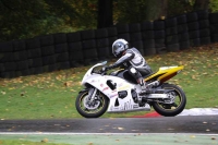 Motorcycle-action-photographs;Trackday-digital-images;cadwell;cadwell-park-photographs;event-digital-images;eventdigitalimages;motor-racing-louth-lincolnshire;no-limits-trackdays;peter-wileman-photography;trackday;trackday-photos