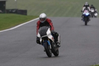Motorcycle-action-photographs;Trackday-digital-images;cadwell;cadwell-park-photographs;event-digital-images;eventdigitalimages;motor-racing-louth-lincolnshire;no-limits-trackdays;peter-wileman-photography;trackday;trackday-photos