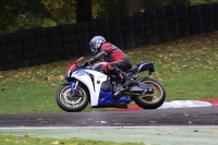 Motorcycle-action-photographs;Trackday-digital-images;cadwell;cadwell-park-photographs;event-digital-images;eventdigitalimages;motor-racing-louth-lincolnshire;no-limits-trackdays;peter-wileman-photography;trackday;trackday-photos