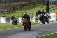 Motorcycle-action-photographs;Trackday-digital-images;cadwell;cadwell-park-photographs;event-digital-images;eventdigitalimages;motor-racing-louth-lincolnshire;no-limits-trackdays;peter-wileman-photography;trackday;trackday-photos